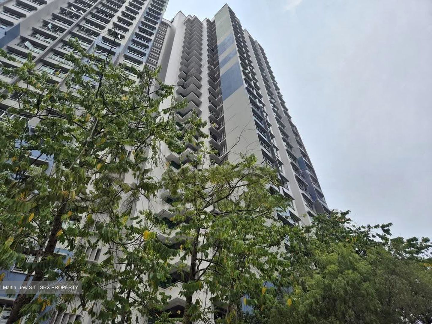Blk 636A Senja Road (Bukit Panjang), HDB 2 Rooms #618679361